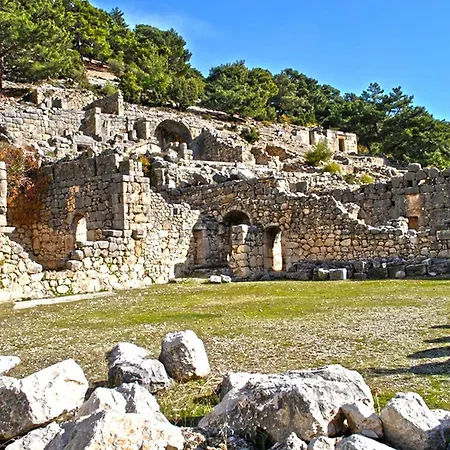 Villa Lotus