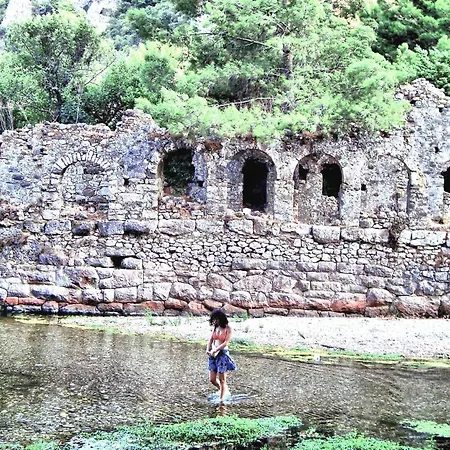 Lotus Villa *
