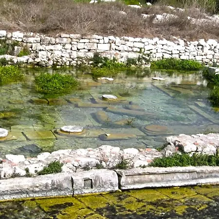 Lotus Villa *